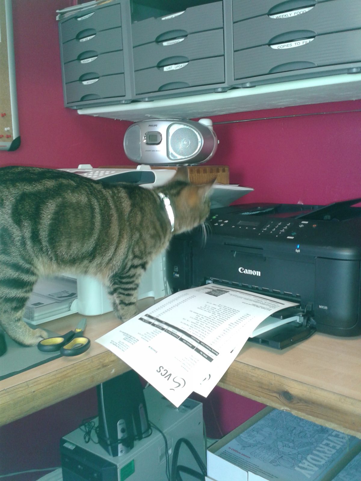 Administrator’s Little Helper