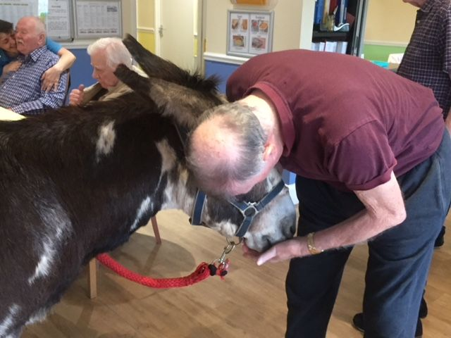 PEDRO THE DONKEY ARRIVES AT BIRCHY HILL